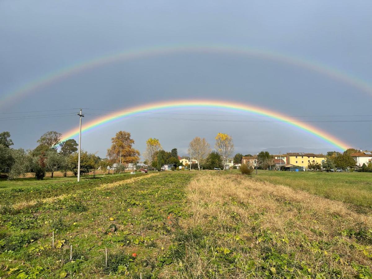 La Dimora Di Corte A *